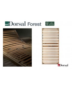 DORSAL RETE  FOREST